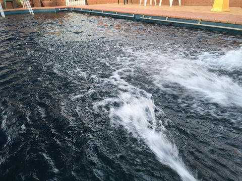 Dragon Phoenix Resort - Nambucca Heads Accommodation 1