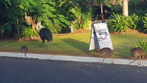 Driftwood Bed And Breakfast - Nambucca Heads Accommodation 1
