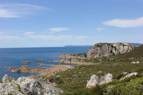 Eagle's Roost Farmstay B&B - Nambucca Heads Accommodation 3