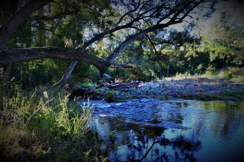 Eighteen Mile Cottage - Nambucca Heads Accommodation 1