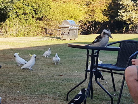 Eildon Parkview Motor Inn - Nambucca Heads Accommodation 0