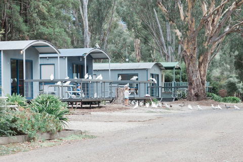 Eildon Pondage Holiday Park - Nambucca Heads Accommodation 3
