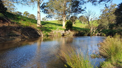 Emerald Hills Cottage - Nambucca Heads Accommodation 1