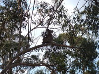 Book Haden Accommodation Vacations Nambucca Heads Accommodation Nambucca Heads Accommodation