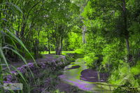 Book Esk Accommodation Vacations Nambucca Heads Accommodation Nambucca Heads Accommodation