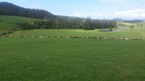 Farm Golf - Nambucca Heads Accommodation 2