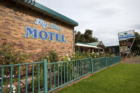 Fig Tree Motel - Nambucca Heads Accommodation 2