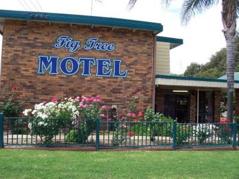 Fig Tree Motel - Nambucca Heads Accommodation 1