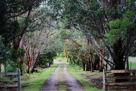 Galwiji Homestead - Nambucca Heads Accommodation 1