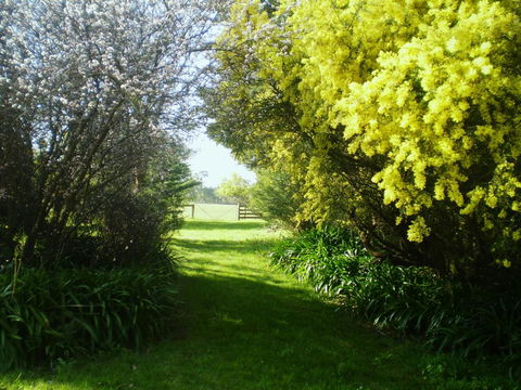 Galwiji Homestead - Nambucca Heads Accommodation 3
