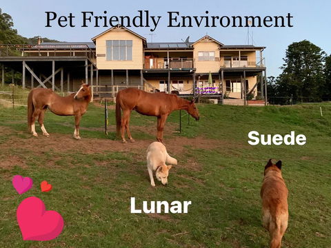 Heavenly Retreat B&B - Nambucca Heads Accommodation 1