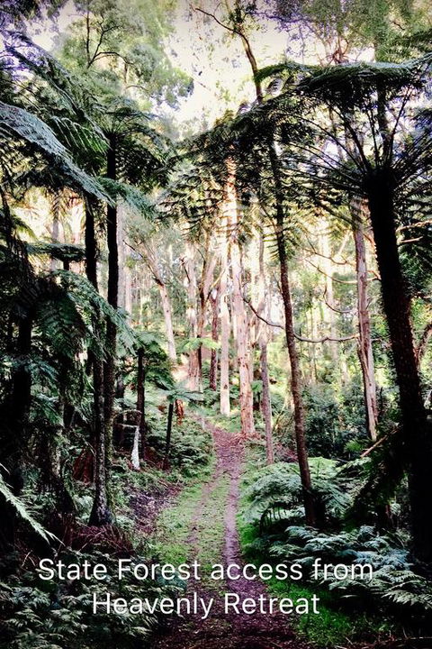 Heavenly Retreat B&B - Nambucca Heads Accommodation 3