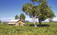 Highbank Country Accommodation - thumb 3