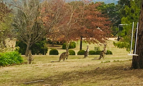 Highfield Cottage - Nambucca Heads Accommodation 2