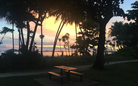 Jackaroo Treehouse Mission Beach - Nambucca Heads Accommodation 3