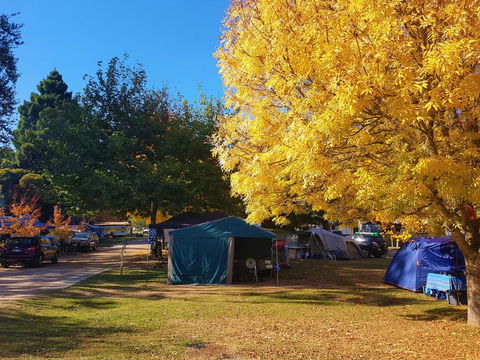 Jamieson Caravan Park - Nambucca Heads Accommodation 2