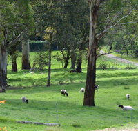 JAN'S ART STUDIO AT ASHBY RISE - Nambucca Heads Accommodation