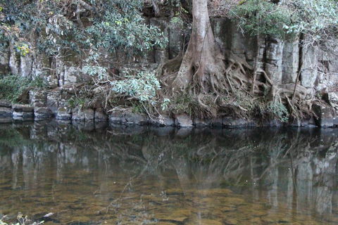 Kaalba - Nambucca Heads Accommodation 1