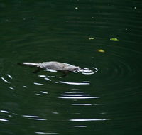 Kaalba - Nambucca Heads Accommodation