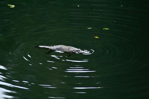 Kaalba - Nambucca Heads Accommodation 0