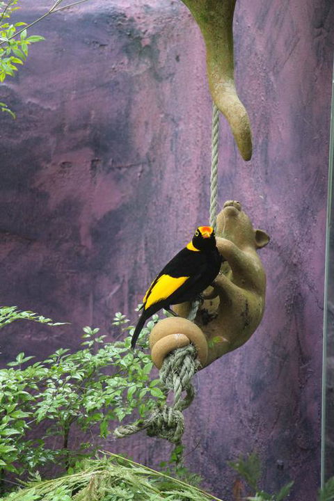 Kaalba - Nambucca Heads Accommodation 3