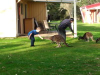 Book Kalgan Accommodation Vacations Nambucca Heads Accommodation Nambucca Heads Accommodation