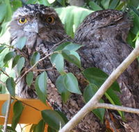 Karma Cottage - Nambucca Heads Accommodation