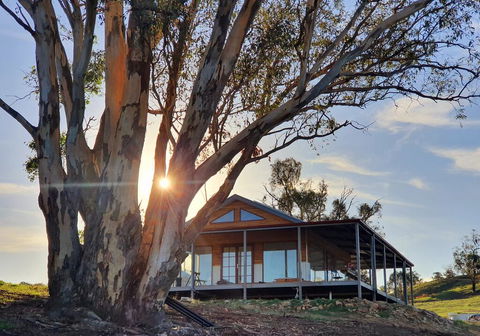 Kestrel Nest EcoHut - Nambucca Heads Accommodation 0