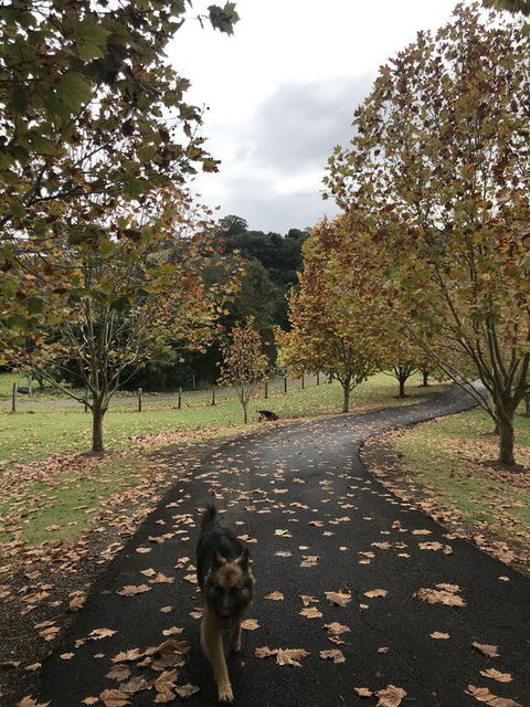 King Ludwigs Cottage - Nambucca Heads Accommodation 1