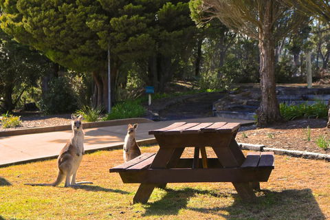 Leura Lodge At Mt Victoria - Nambucca Heads Accommodation 2