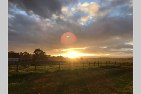 Lucys Artist Cottage - Nambucca Heads Accommodation 3