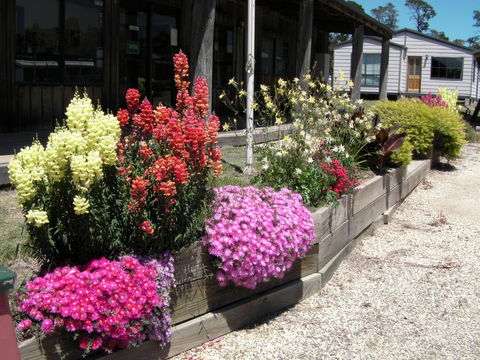Mansfield Holiday Park - Nambucca Heads Accommodation 3