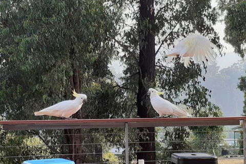 Merry Mary Casa - Nambucca Heads Accommodation 3
