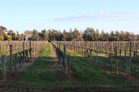 Milawa Vineyard Views - Guesthouse 1 - Nambucca Heads Accommodation 1