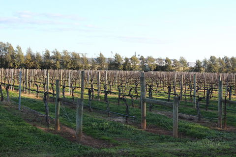 Milawa Vineyard Views - Guesthouse 2 - Nambucca Heads Accommodation 0