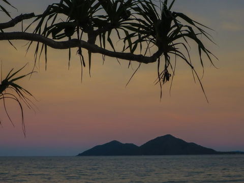Mission Beach Hideaway Holiday Village - Nambucca Heads Accommodation 1