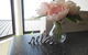 Modern Hobart Apartment With Stunning Views - thumb 0