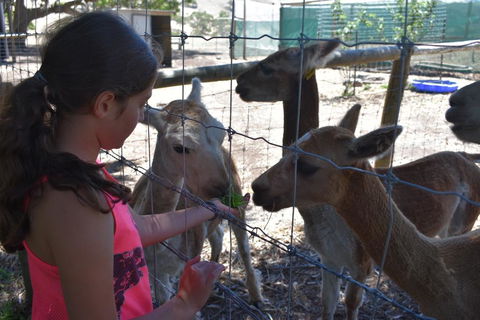 Morella Farm - Nambucca Heads Accommodation 3