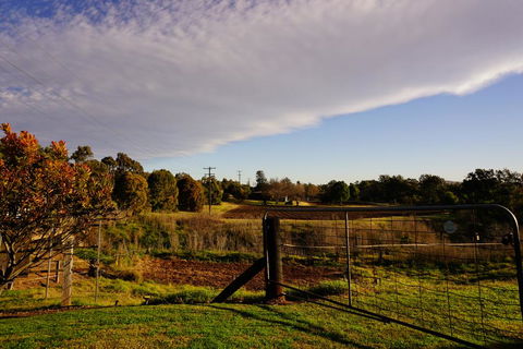 Muswellbrook Northside B&B - Nambucca Heads Accommodation 3