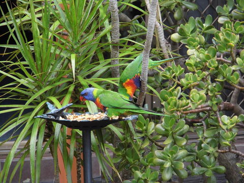 Nanango Fitzroy Motel - Nambucca Heads Accommodation 2