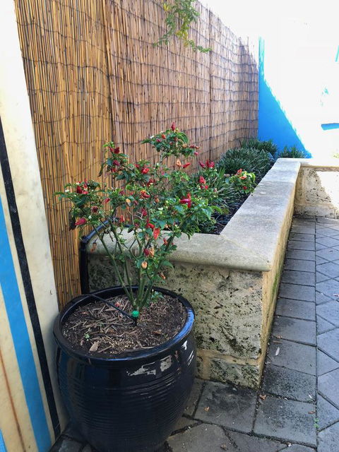 BeachHideaway@Scarborough - Nambucca Heads Accommodation 33