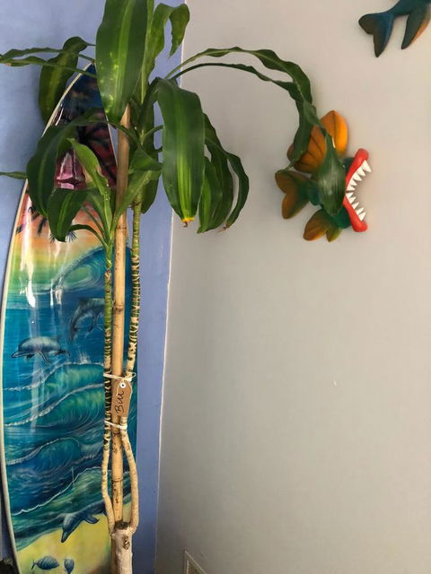 BeachHideaway@Scarborough - Nambucca Heads Accommodation 28