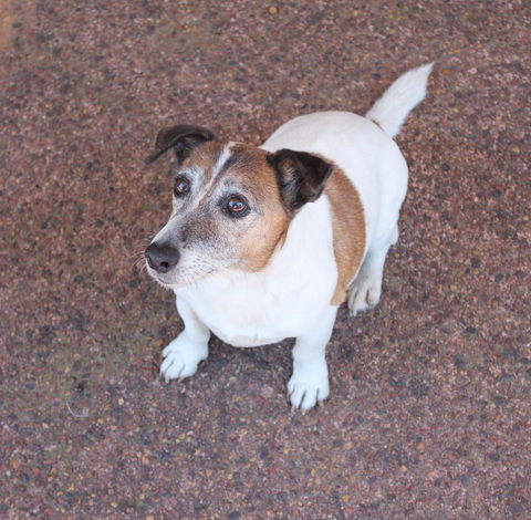 Jacaranda Hideaway Bed & Breakfast - Nambucca Heads Accommodation 13