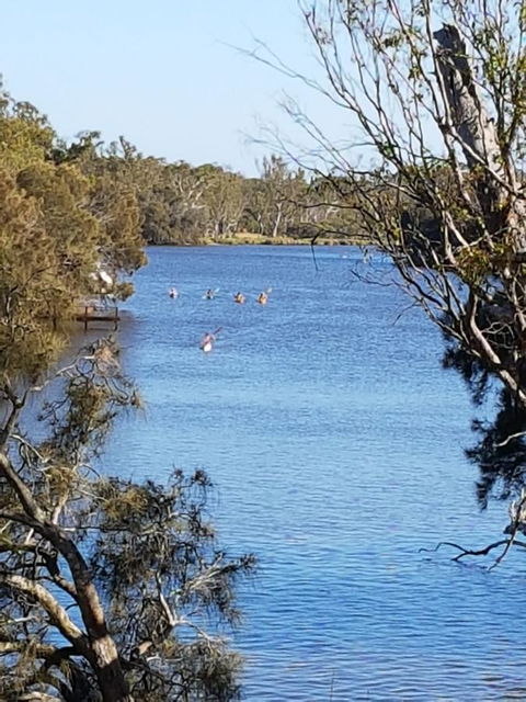 Jacaranda Hideaway Bed & Breakfast - Nambucca Heads Accommodation 19
