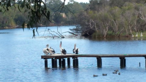 Jacaranda Hideaway Bed & Breakfast - Nambucca Heads Accommodation 18