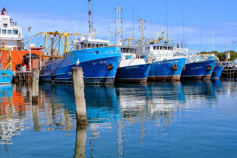 Gallery Serviced Apartments - Nambucca Heads Accommodation 27