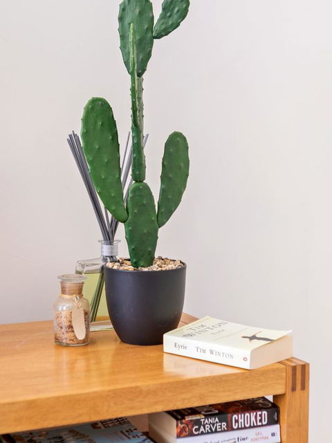 Cooper Street - Nambucca Heads Accommodation 23