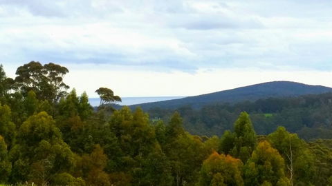 Karri Aura - Nambucca Heads Accommodation 10