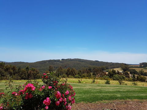 Karri Aura - Nambucca Heads Accommodation 9