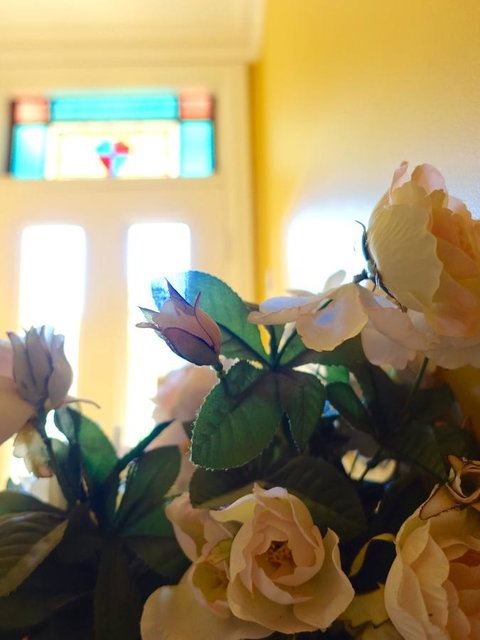 The Blacksmiths Cottage - Nambucca Heads Accommodation 16